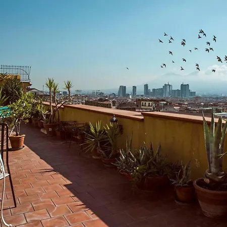 בית הארחה Miracoletti38