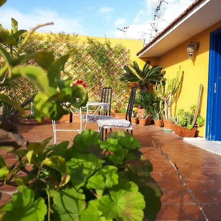 בית הארחה Miracoletti38 נאפולי